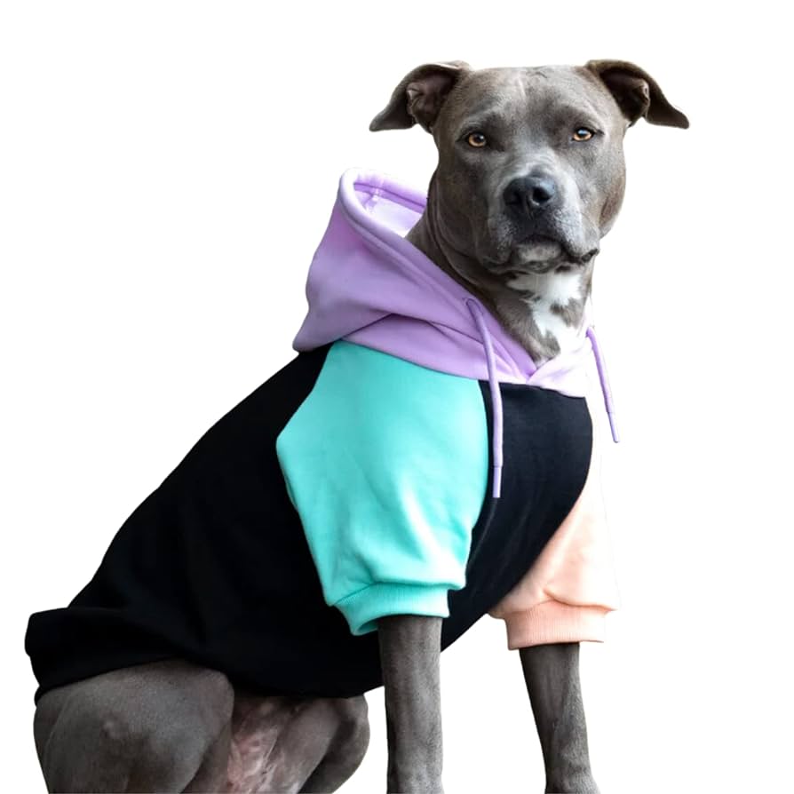 Amazon.com : Spark Paws Dog Hoodie – Premium Dog Sweater for